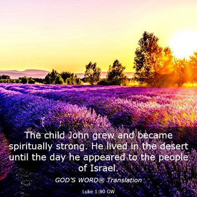 Picture 03 - Luke 1:80 GW - The child John grew and became spiritually - Bible Verse Picture