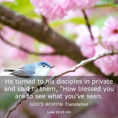 Picture 03 - Luke 10:23 GW - He turned to his disciples in private and said to - Bible Verse Picture
