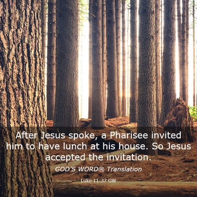 Picture 03 - Luke 11:37 GW - After Jesus spoke, a Pharisee invited him to have - Bible Verse Picture