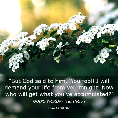 Picture 03 - Luke 12:20 GW - “But God said to him, ‘You fool! I will - Bible Verse Picture
