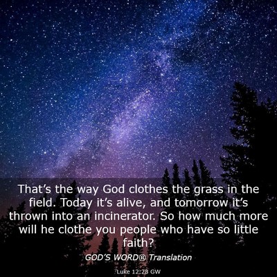 Picture 03 - Luke 12:28 GW - That’s the way God clothes the grass in the - Bible Verse Picture