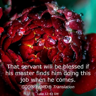 Picture 03 - Luke 12:43 GW - That servant will be blessed if his master finds - Bible Verse Picture