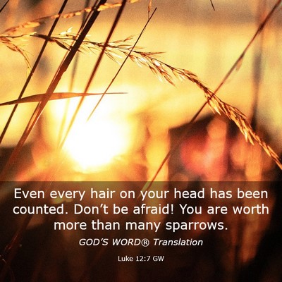 Picture 03 - Luke 12:7 GW - Even every hair on your head has been counted. - Bible Verse Picture