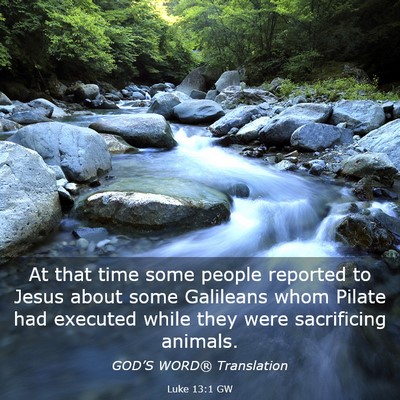 Picture 03 - Luke 13:1 GW - At that time some people reported to Jesus about - Bible Verse Picture