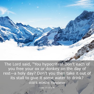 Picture 03 - Luke 13:15 GW - The Lord said, “You hypocrites! Don’t each of - Bible Verse Picture