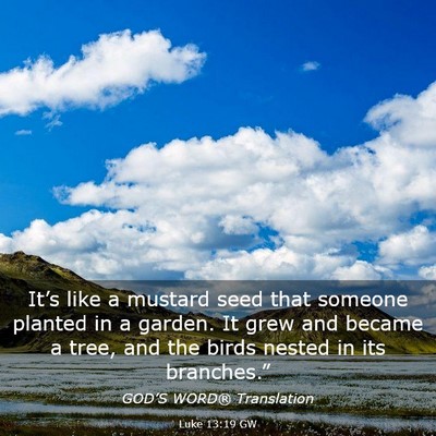 Picture 03 - Luke 13:19 GW - It’s like a mustard seed that someone planted - Bible Verse Picture