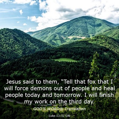 Picture 03 - Luke 13:32 GW - Jesus said to them, “Tell that fox that I will - Bible Verse Picture