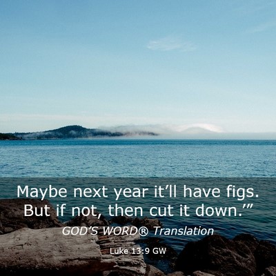 Picture 03 - Luke 13:9 GW - Maybe next year it’ll have figs. But if not, - Bible Verse Picture