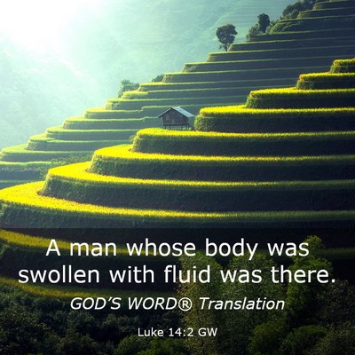 Picture 03 - Luke 14:2 GW - A man whose body was swollen with fluid was - Bible Verse Picture