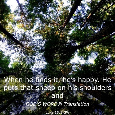 Picture 03 - Luke 15:5 GW - When he finds it, he’s happy. He puts that - Bible Verse Picture