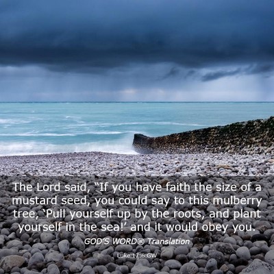 Picture 03 - Luke 17:6 GW - The Lord said, “If you have faith the size of a - Bible Verse Picture