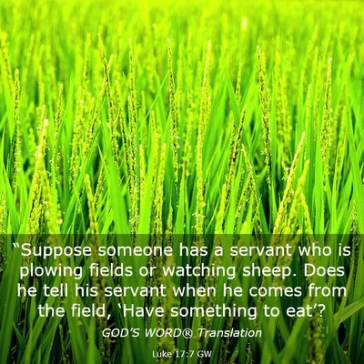 Picture 03 - Luke 17:7 GW - “Suppose someone has a servant who is plowing - Bible Verse Picture