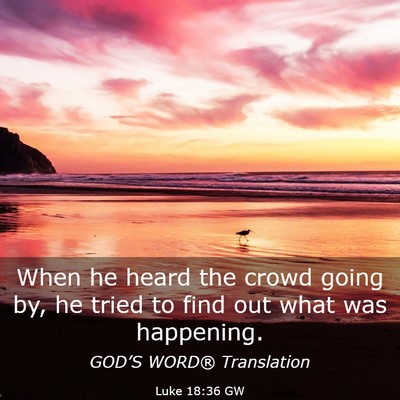 Picture 03 - Luke 18:36 GW - When he heard the crowd going by, he tried to - Bible Verse Picture