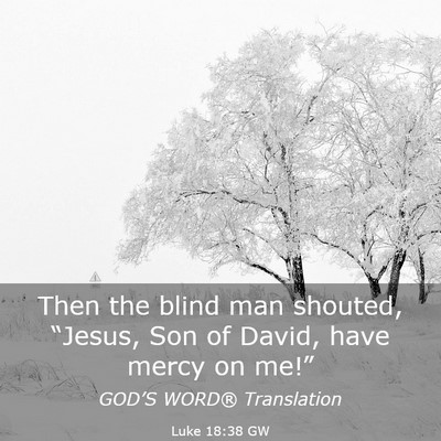Picture 03 - Luke 18:38 GW - Then the blind man shouted, “Jesus, Son of - Bible Verse Picture