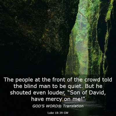 Picture 03 - Luke 18:39 GW - The people at the front of the crowd told the - Bible Verse Picture