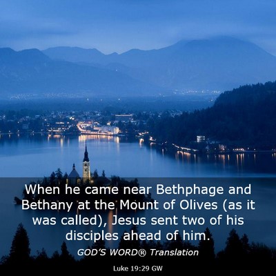 Picture 03 - Luke 19:29 GW - When he came near Bethphage and Bethany at the - Bible Verse Picture