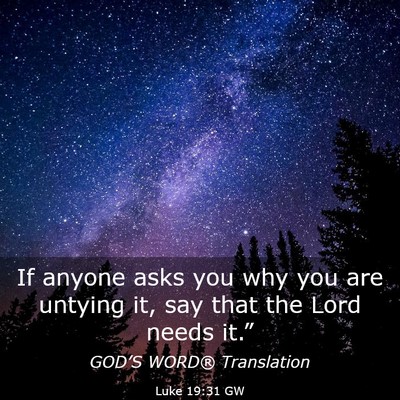 Picture 03 - Luke 19:31 GW - If anyone asks you why you are untying it, say - Bible Verse Picture