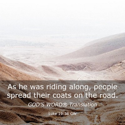 Picture 03 - Luke 19:36 GW - As he was riding along, people spread their coats - Bible Verse Picture