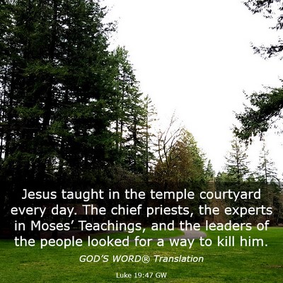 Picture 03 - Luke 19:47 GW - Jesus taught in the temple courtyard every day. - Bible Verse Picture