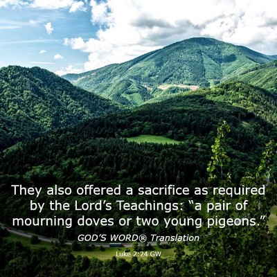 Picture 03 - Luke 2:24 GW - They also offered a sacrifice as required by the - Bible Verse Picture