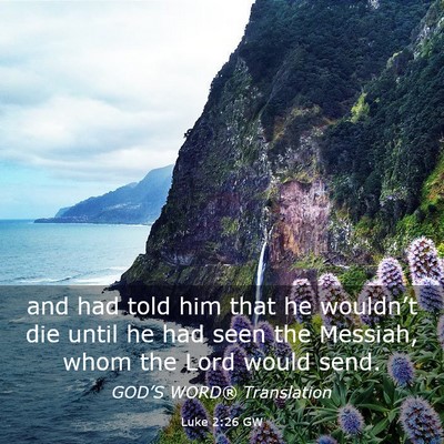 Picture 03 - Luke 2:26 GW - and had told him that he wouldn’t die until he - Bible Verse Picture