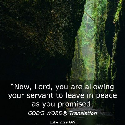 Picture 03 - Luke 2:29 GW - “Now, Lord, you are allowing your servant to - Bible Verse Picture