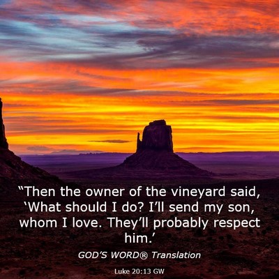 Picture 03 - Luke 20:13 GW - “Then the owner of the vineyard said, ‘What - Bible Verse Picture