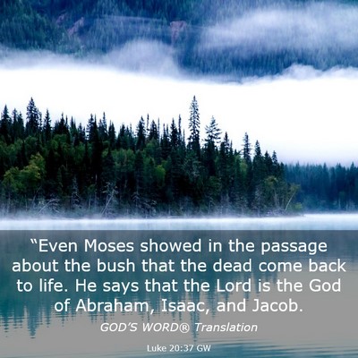 Picture 03 - Luke 20:37 GW - “Even Moses showed in the passage about the - Bible Verse Picture