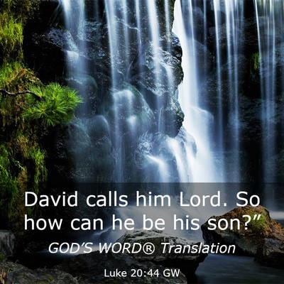 Picture 03 - Luke 20:44 GW - David calls him Lord. So how can he be his - Bible Verse Picture