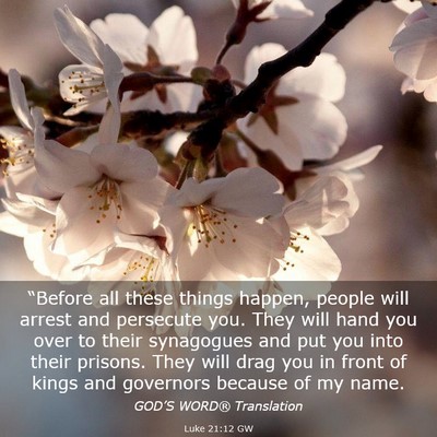 Picture 03 - Luke 21:12 GW - “Before all these things happen, people will - Bible Verse Picture