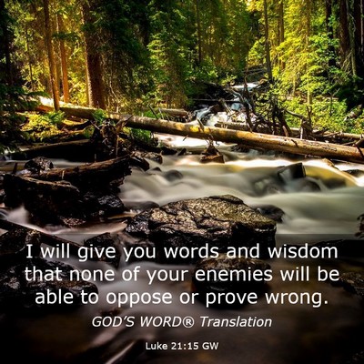 Picture 03 - Luke 21:15 GW - I will give you words and wisdom that none of - Bible Verse Picture