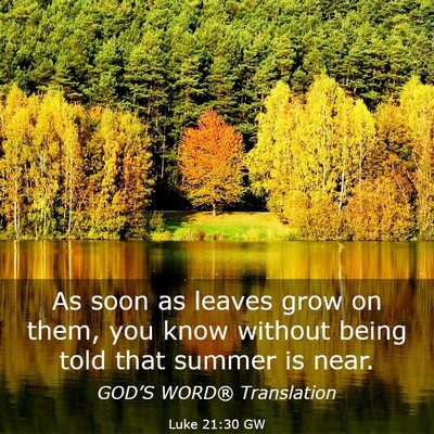 Picture 03 - Luke 21:30 GW - As soon as leaves grow on them, you know without - Bible Verse Picture