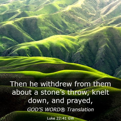 Picture 03 - Luke 22:41 GW - Then he withdrew from them about a stone’s - Bible Verse Picture