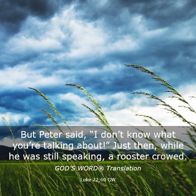 Picture 03 - Luke 22:60 GW - But Peter said, “I don’t know what you’re - Bible Verse Picture