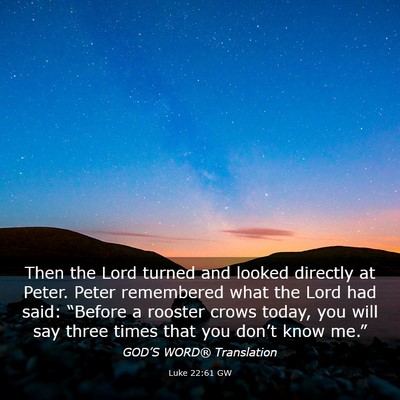 Picture 03 - Luke 22:61 GW - Then the Lord turned and looked directly at - Bible Verse Picture