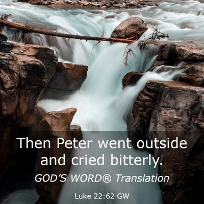 Picture 03 - Luke 22:62 GW - Then Peter went outside and cried - Bible Verse Picture