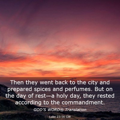 Picture 03 - Luke 23:56 GW - Then they went back to the city and prepared - Bible Verse Picture