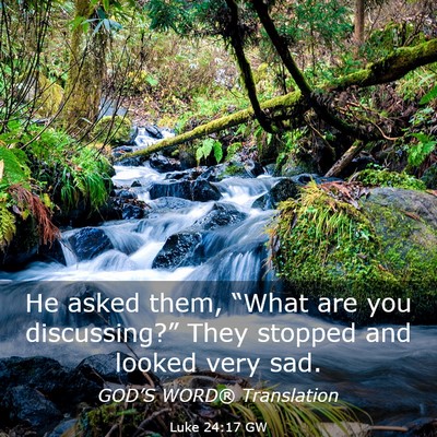 Picture 03 - Luke 24:17 GW - He asked them, “What are you discussing?” - Bible Verse Picture