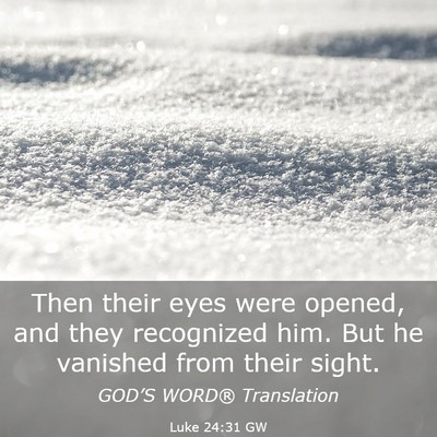 Picture 03 - Luke 24:31 GW - Then their eyes were opened, and they recognized - Bible Verse Picture