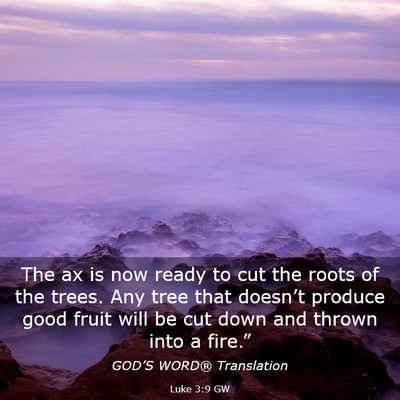 Picture 03 - Luke 3:9 GW - The ax is now ready to cut the roots of the - Bible Verse Picture