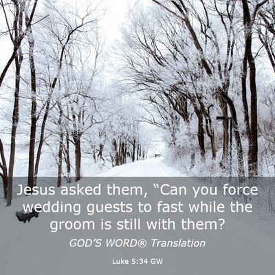 Picture 03 - Luke 5:34 GW - Jesus asked them, “Can you force wedding guests - Bible Verse Picture