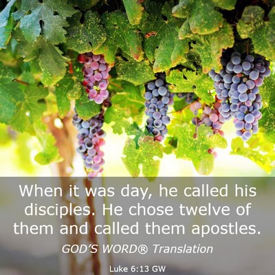 Picture 03 - Luke 6:13 GW - When it was day, he called his disciples. He - Bible Verse Picture