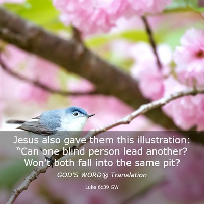 Picture 03 - Luke 6:39 GW - Jesus also gave them this illustration: “Can - Bible Verse Picture