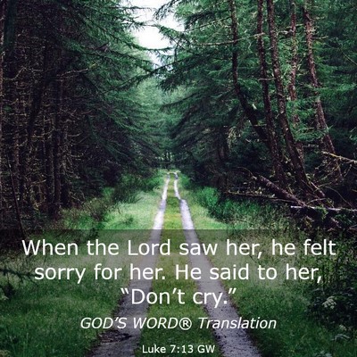 Picture 03 - Luke 7:13 GW - When the Lord saw her, he felt sorry for her. He - Bible Verse Picture