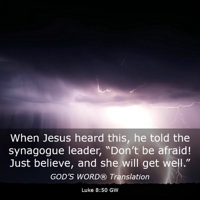 Picture 03 - Luke 8:50 GW - When Jesus heard this, he told the synagogue - Bible Verse Picture