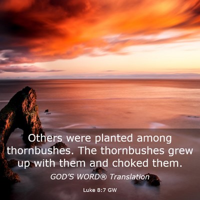 Picture 03 - Luke 8:7 GW - Others were planted among thornbushes. The - Bible Verse Picture