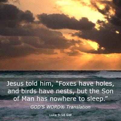 Picture 03 - Luke 9:58 GW - Jesus told him, “Foxes have holes, and birds - Bible Verse Picture