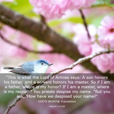 Picture 03 - Malachi 1:6 GW - “This is what the Lord of Armies says: A son - Bible Verse Picture