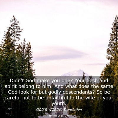Picture 03 - Malachi 2:15 GW - Didn’t God make you one? Your flesh and spirit - Bible Verse Picture