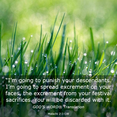 Picture 03 - Malachi 2:3 GW - “I’m going to punish your descendants. I’m - Bible Verse Picture